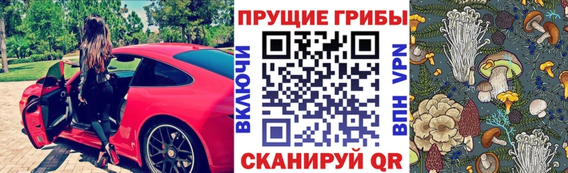 Галлюциногенные грибы мицелий  darknet телеграм  Новомосковск 